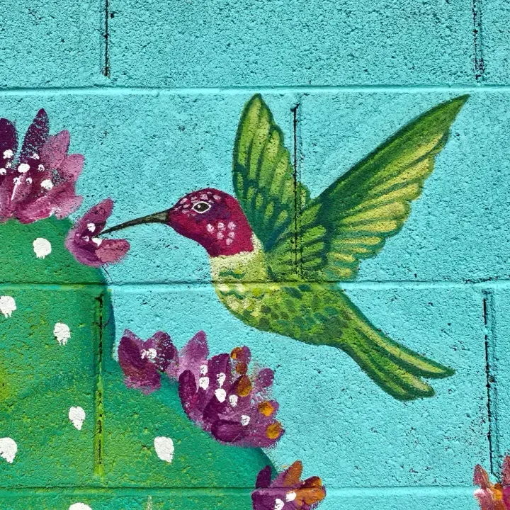 Hummingbird and flowering prickly pear mural detail on a teal block wall