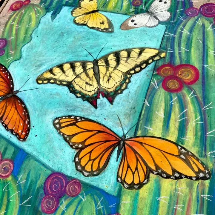 Chalk art piece of butterflies over an Arizona map by Brigitte De Marco